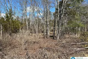 0 Richlandtown Pike, Richlandtown, PA 18951 - Photo 2