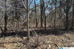 0 Richlandtown Pike, Richlandtown, PA 18951 - Photo 4