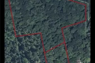 455 Morvale Rd, Williams Township, PA 18042 - Photo 4