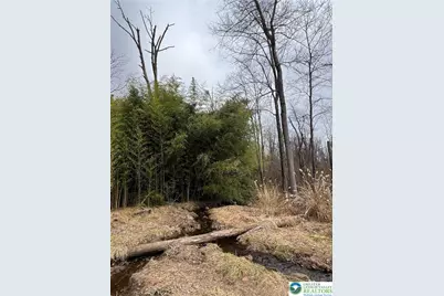 1598 Hafler Road, Bethlehem City, PA 18015 - Photo 6