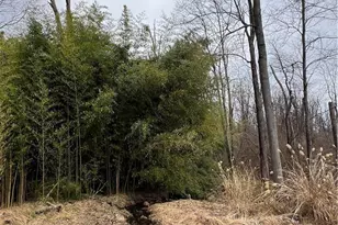 1598 Hafler Rd, Bethlehem City, PA 18015 - Photo 6