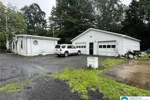 3538 Mountain Rd, Washington Township, PA 18080 - Photo 4