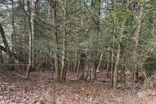 2287 Locust Ridge Rd, Pocono Lake, PA 18347 - Photo 1