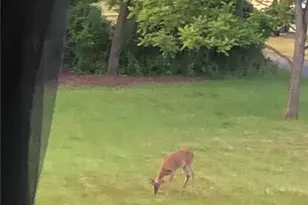 362 Mt Pleasant Rd, Bangor Boro, PA 18013 - Photo 20