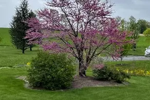 6516 Germans Corner Rd, Lynn Township, PA 18053 - Photo 34