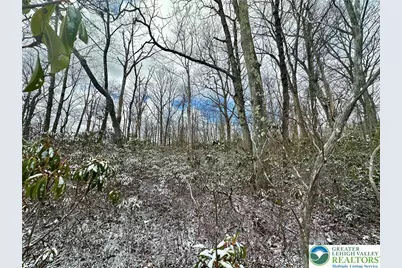 Forest Lake Drive #Lot 168, Penn Forrest, PA 18229 - Photo 2