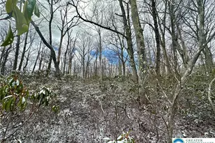 Forest Lake Dr, Penn Forrest, PA 18229 - Photo 2