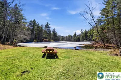 158 Halgas Lane, Tobyhanna Twp, PA 18350 - Photo 94