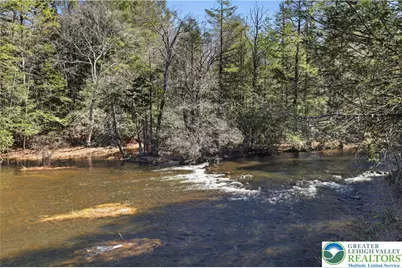 158 Halgas Lane, Tobyhanna Twp, PA 18350 - Photo 24