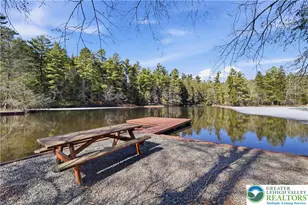 158 Halgas Ln, Tobyhanna Twp, PA 18350 - Photo 10