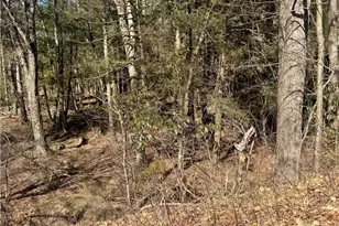 14 E Woodhaven Dr, White Haven, PA 18661 - Photo 6