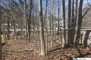 Chipmunk Dr, Coolbaugh Twp, PA 18466 - Photo 4