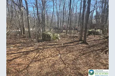 Chipmunk Drive, Coolbaugh Twp, PA 18466 - Photo 2