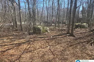 Chipmunk Dr, Coolbaugh Twp, PA 18466 - Photo 2