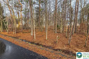 Crescent Way, Tunkhannock Twp, PA 18210 - Photo 4