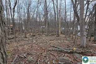 Indian Way, East Stroudsburg, PA 18302 - Photo 4