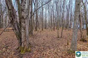 Linden Dr, Tunkhannock Twp, PA 18210 - Photo 4