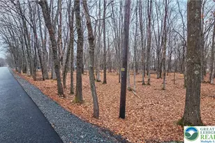 Linden Dr, Tunkhannock Twp, PA 18210 - Photo 2