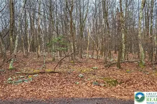 Tunkhannock Dr, Tunkhannock Twp, PA 18210 - Photo 2