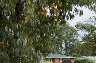 912 S Lincoln Ave, Walnutport Boro, PA 18088 - Photo 30