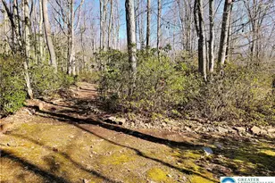 67 Forest Lake Dr, Penn Forrest, PA 18229 - Photo 44