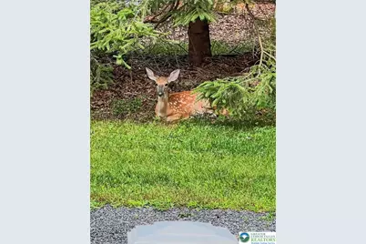 86 Burnshaw Lane, Penn Forrest, PA 18210 - Photo 54