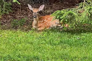 86 Burnshaw Ln, Penn Forrest, PA 18210 - Photo 54