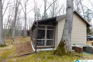 156 Pine Flats Colony Rd, Porter Twp, PA 18328 - Photo 10