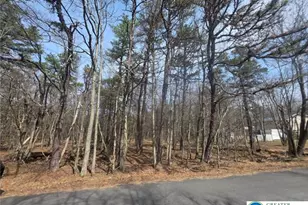 826 Laurel Rd, Pocono Summit, PA 18344 - Photo 4