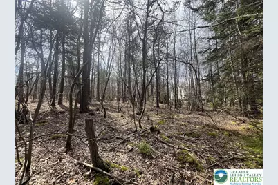 826 Laurel Road, Pocono Summit, PA 18344 - Photo 6