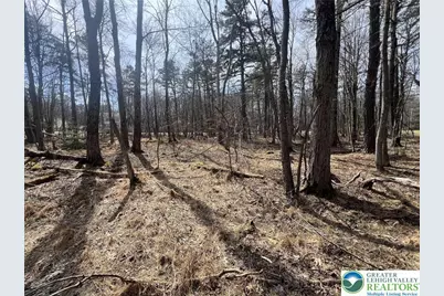 826 Laurel Road, Pocono Summit, PA 18344 - Photo 10