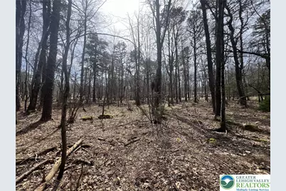 826 Laurel Road, Pocono Summit, PA 18344 - Photo 8