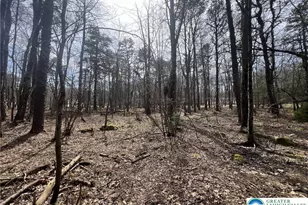 826 Laurel Rd, Pocono Summit, PA 18344 - Photo 8