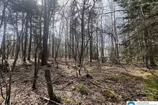 826 Laurel Rd, Pocono Summit, PA 18344 - Photo 6