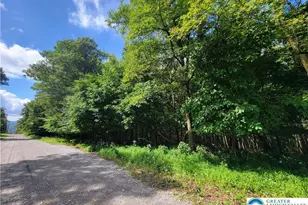 Whitetail Crossing Rd, Walker Twp, PA 18252 - Photo 2