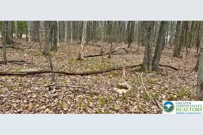 500 Sumac Court, Polk Twp, PA 18058 - Photo 6