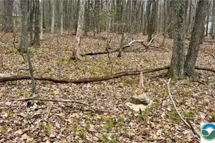 500 Sumac Ct, Polk Twp, PA 18058 - Photo 6