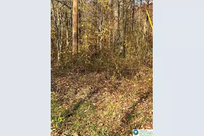 Shooktown Road, Washington Twp, PA 18013 - Photo 4