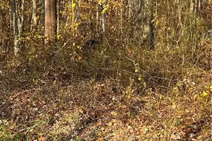 Shooktown Rd, Washington Twp, PA 18013 - Photo 4