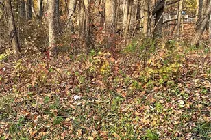 Shooktown Rd, Washington Twp, PA 18013 - Photo 2