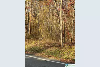 Shooktown Road, Washington Twp, PA 18013 - Photo 8