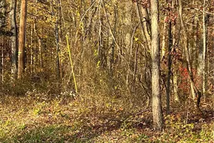 Shooktown Rd, Washington Twp, PA 18013 - Photo 8