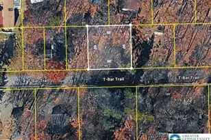 T Bar Trail, Pocono Twp, PA 18355 - Photo 2