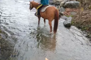 1489 Belgravia Dr, Tobyhanna, PA 18466 - Photo 54