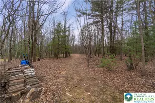 240 Horseshoe Dr, Towamensing Twp, PA 18071 - Photo 14