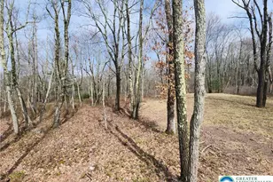 111 Aspen Dr, Penn Forrest, PA 18229 - Photo 42