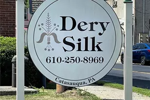 101 Race St, Catasauqua Boro, PA 18032 - Photo 18