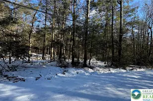 Rodda Rd, Kidder Twp, PA 18210 - Photo 2