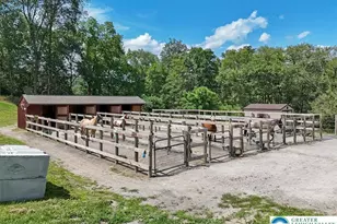 173 Anchorage Rd, Ross Twp, PA 18353 - Photo 56