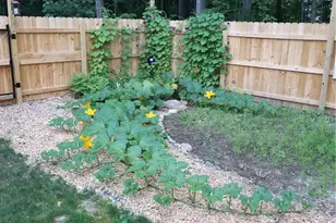 1220 Juno Dr, Chestnuthill Twp, PA 18330 - Photo 28